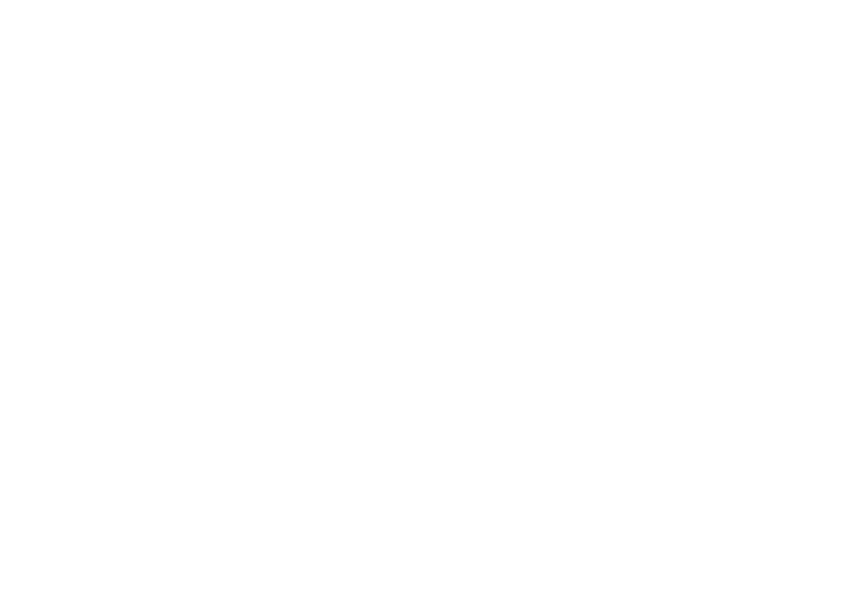 بايونيرزتيم